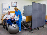 medical room divider